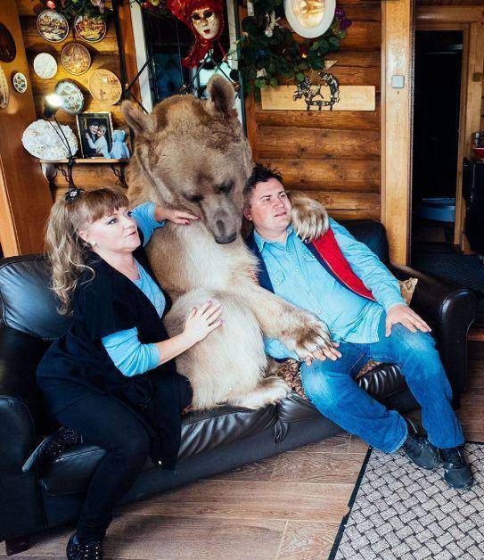 小狗熊3个月大被俄罗斯夫妇领养,共同生活23年时拍摄了这组照片