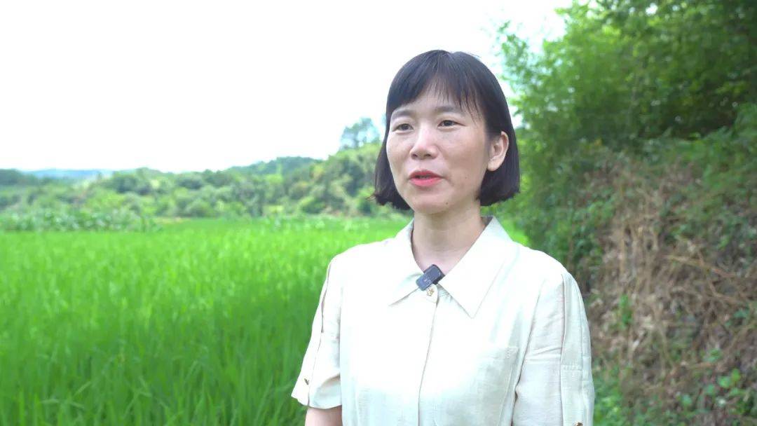 会昌县振兴集团金穗子公司负责人许丽娟这样说道:下一步,我们将对植保