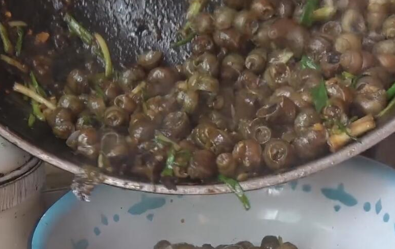 乡村野味田螺煲,这种螺城市里基本吃不到了,好吃到根本停不下来