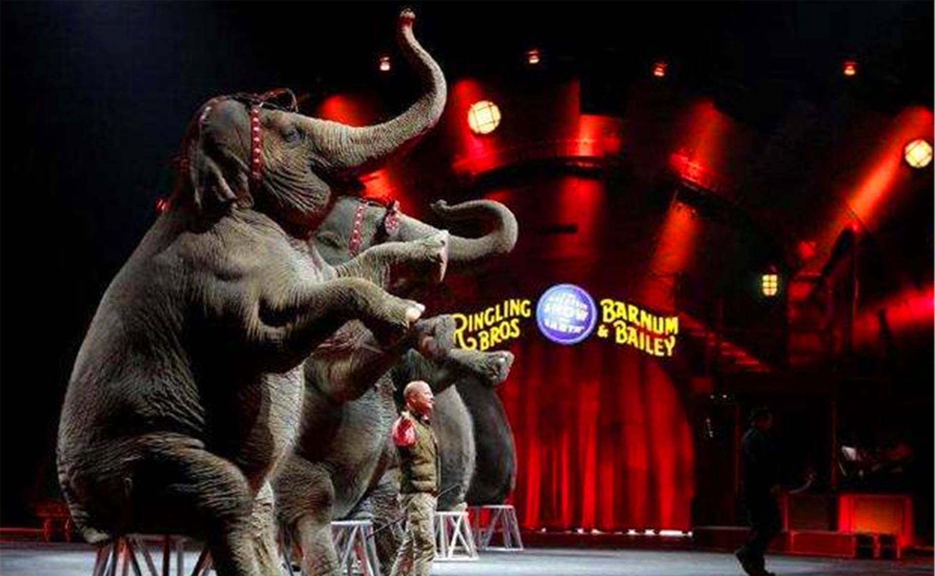 100年前,一头大象被判处死刑,被起重机活活吊死,场面凄惨