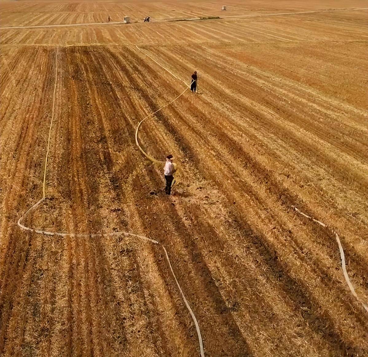 不容易!河南农民冒着近40度高温浇地抗旱上热搜,评论区炸锅了_汗水_品