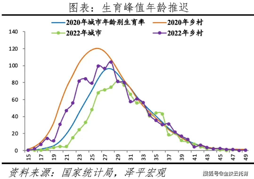 2020生育率图片