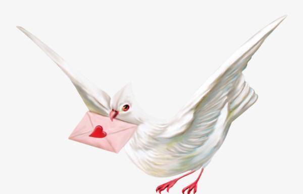 间谍活动中如何利用动物传递情报?最早用的是哪种?哪些其他的?