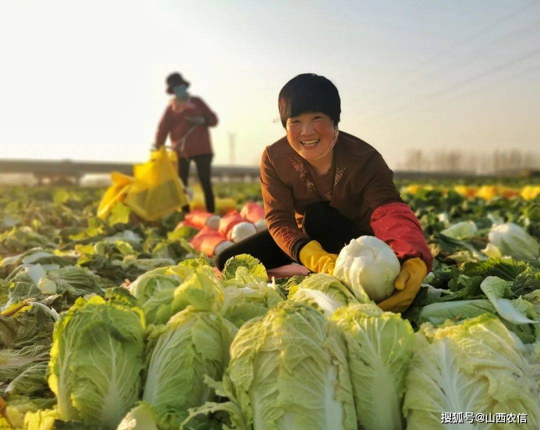 农信视觉志丨用影像记录农信的点点滴滴(3)