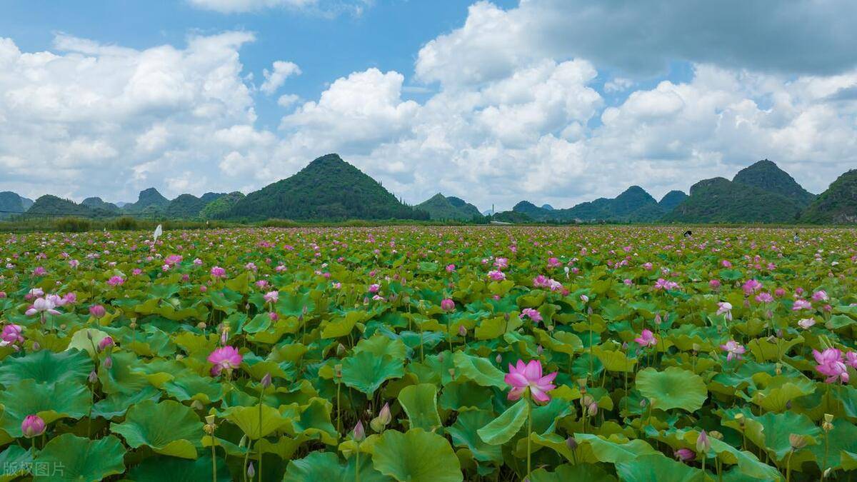 七八月来云南避暑,选这些地方,不冷不热刚好舒适