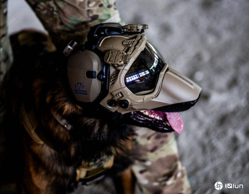 保护最好的朋友,新时代军警犬专用头盔防护更全面