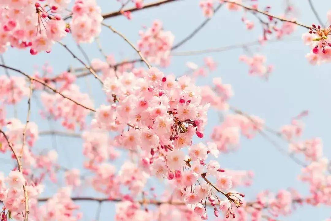 我想进老婆的家族企业群，他却不愿拉我进来，我该咋办(图3)