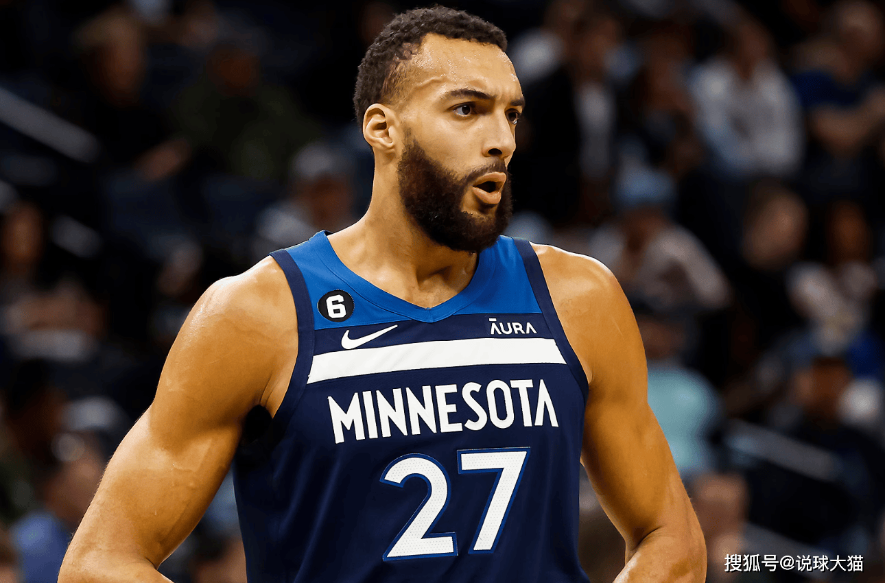 维金斯第九,艾顿第五,戈贝尔第二