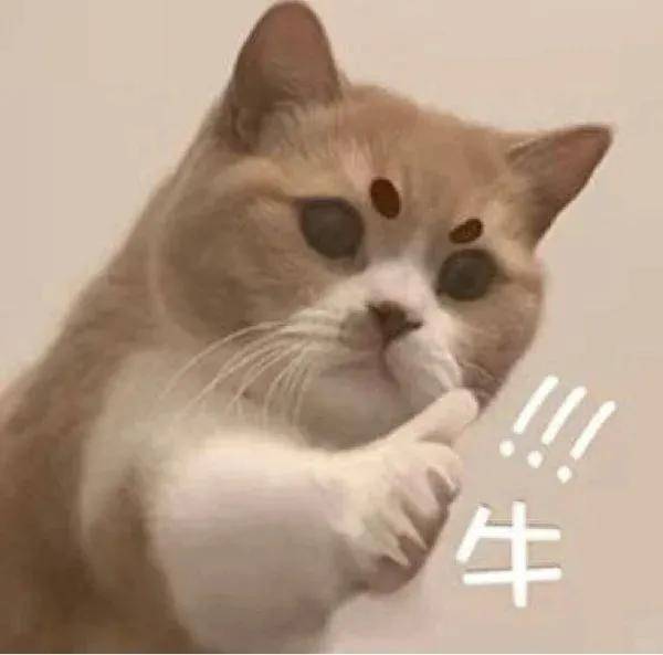 林更新考博“上岸”，卷学历的风还是吹到了内娱...-林更新研究生在哪读