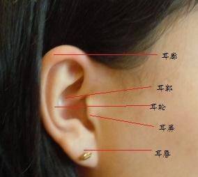 耳朵痣代表什么图解图片