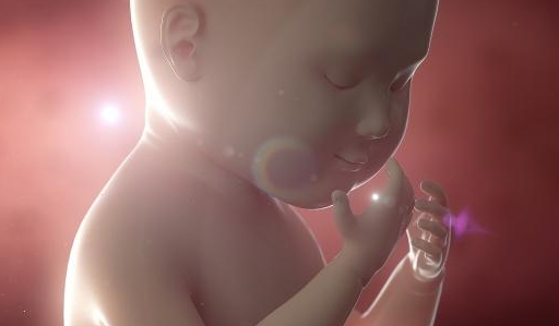 胎儿性格与胎动有关。宝宝的胎动会是以下哪一种？_孩子_妈妈_父母