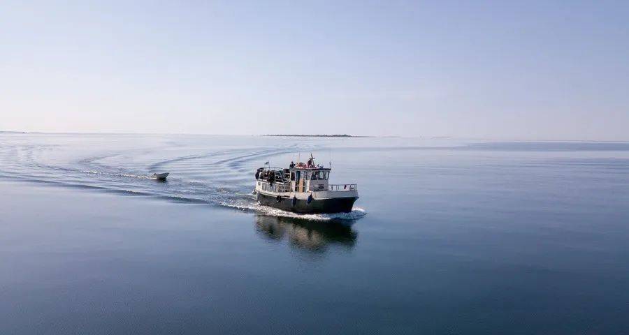 家电业忧中望喜：海尔方太海信大动作，美的卡萨帝TCL有收获-家电圈官网