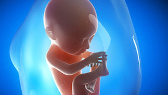 当胎儿在母亲体内缺氧时，它会用三个信号告诉母亲_监护_监护_工作。