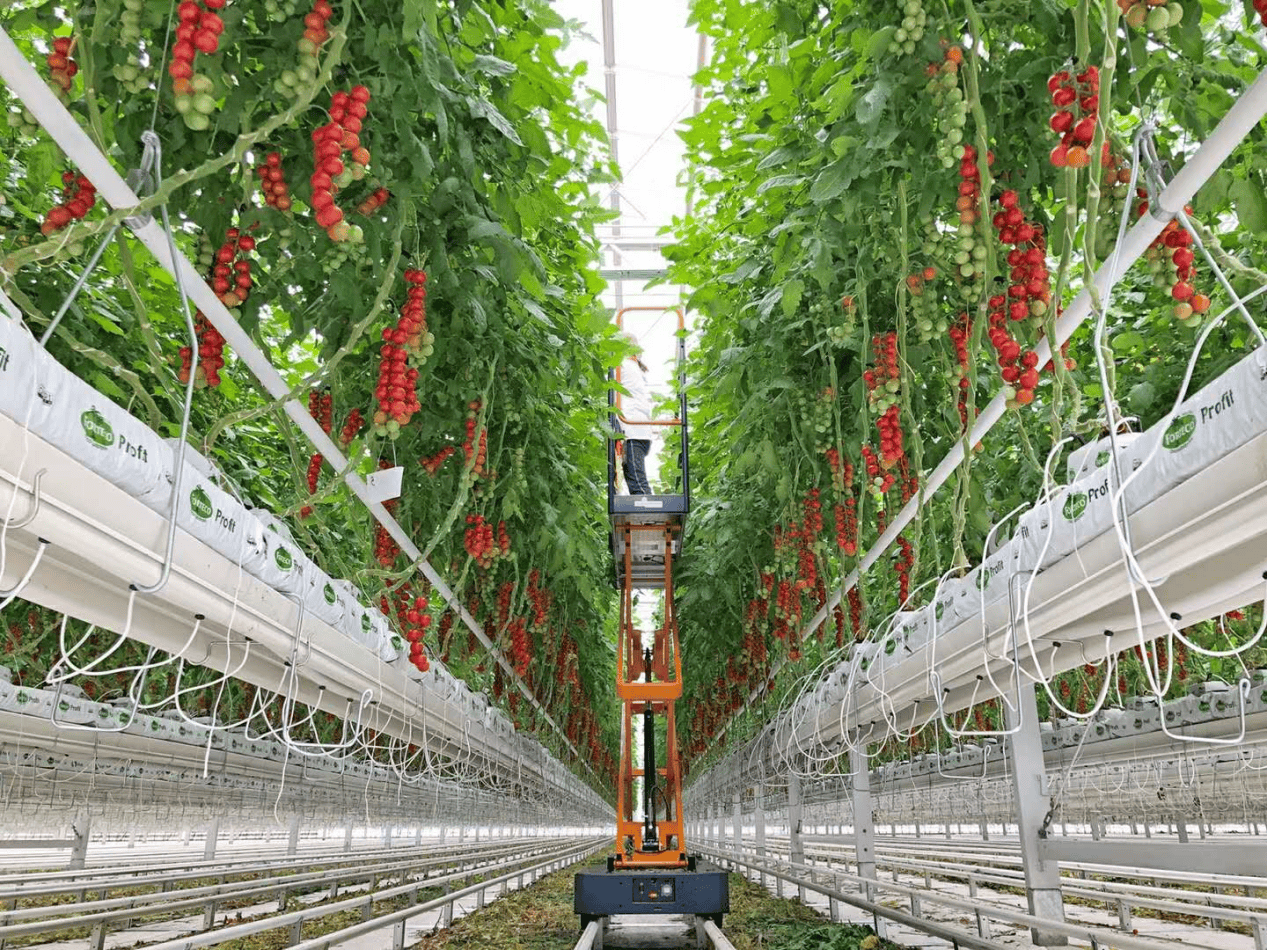 智能大棚引领农业种植新潮流,智慧农业助力乡村振兴