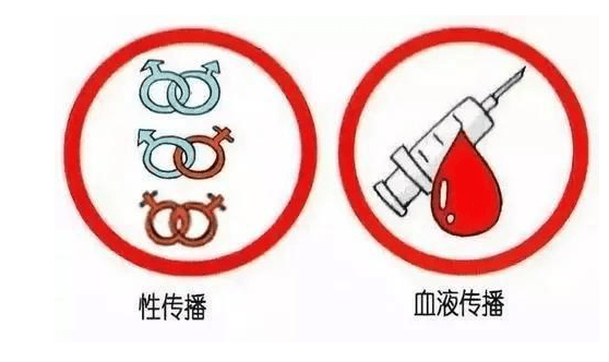 性传播疾病中，有哪些是通过体液传播，哪些是通过血液？