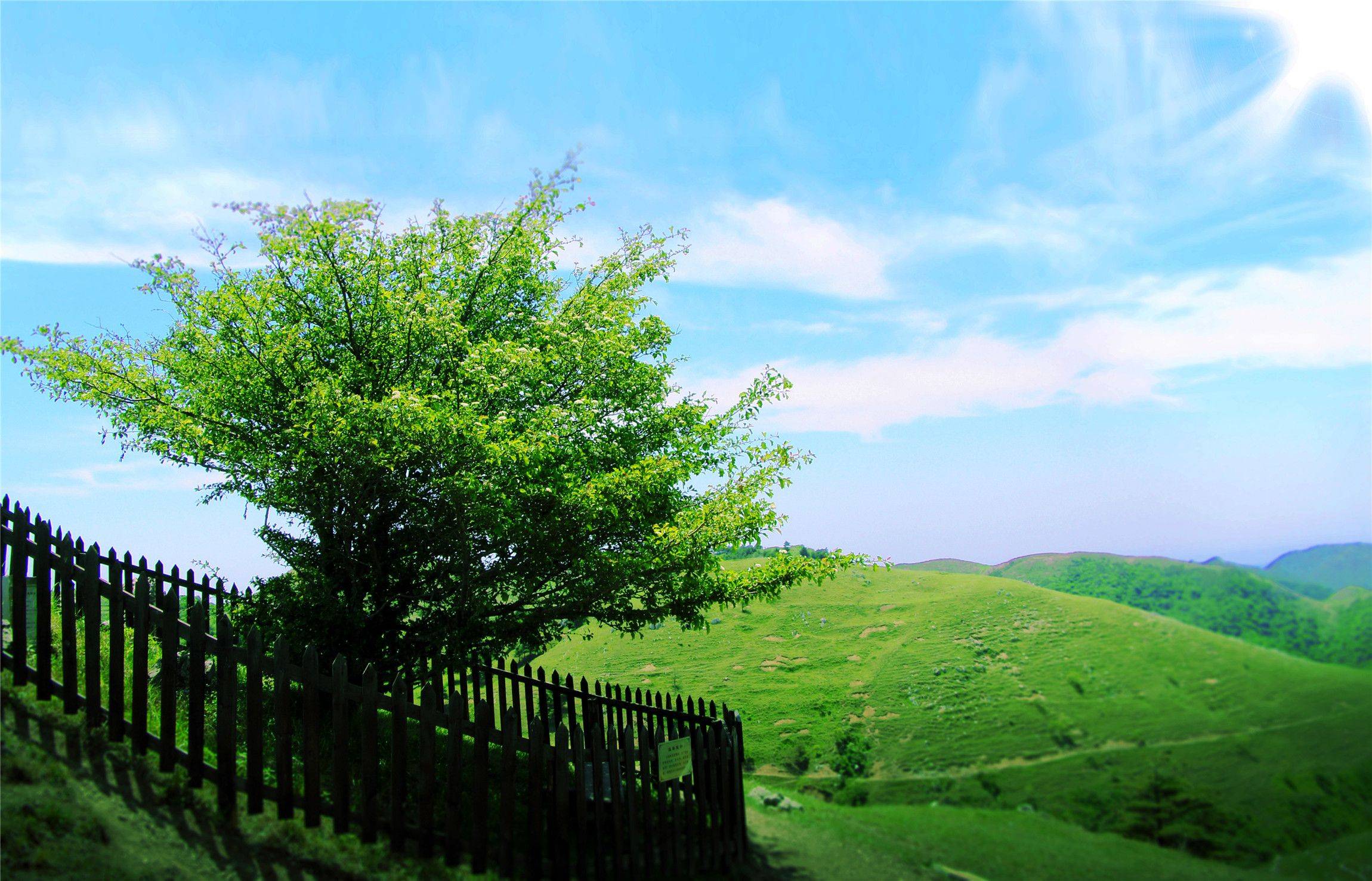 百里荒景区图片