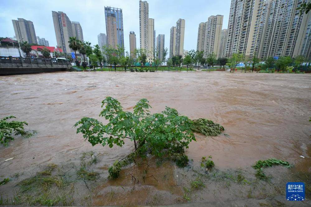 暴雨洪灾防御攻略:避险自救,守护生命安全_手机_洪水_救援