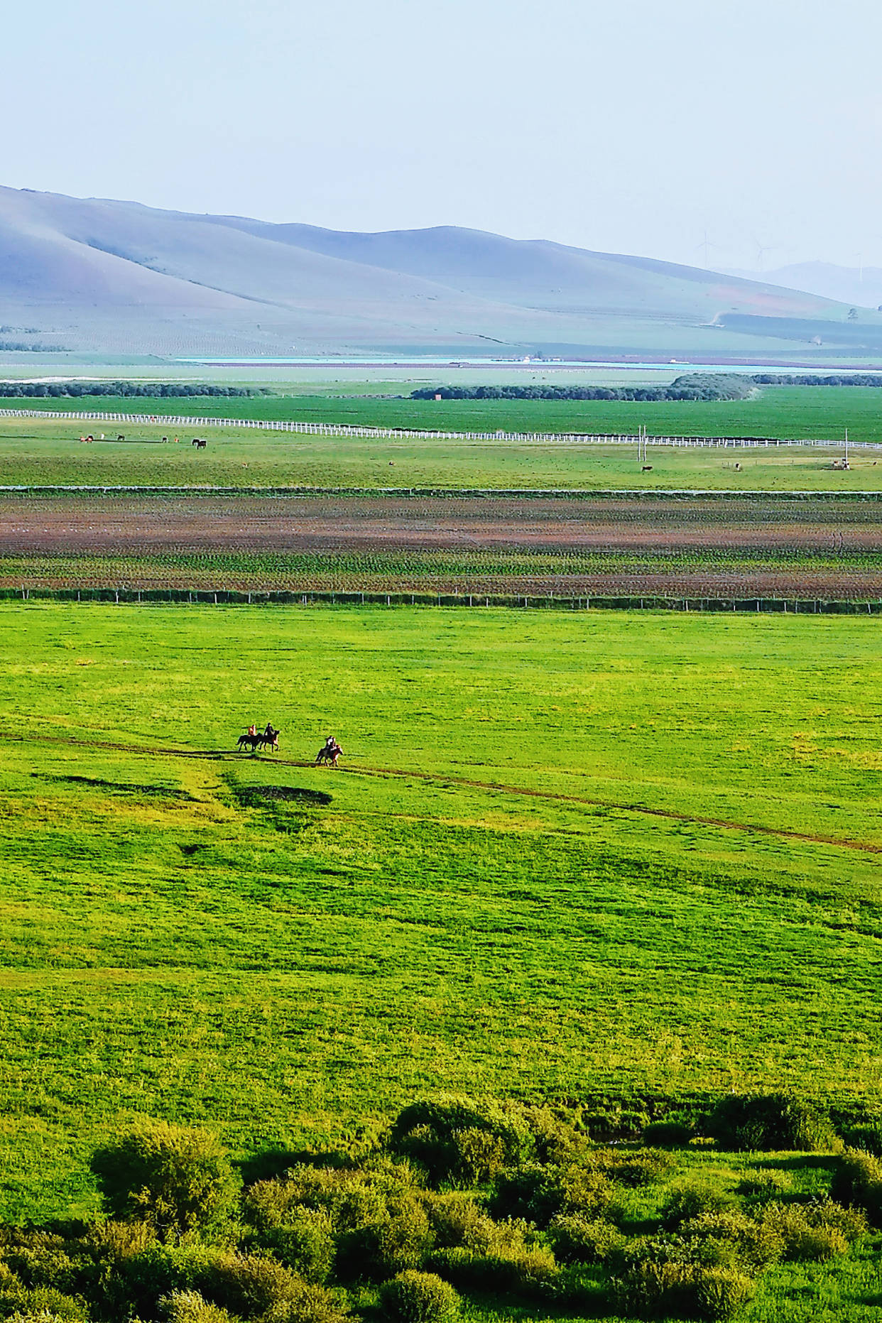 来河北承德,过16度的夏天,还可以骑马滑草喂羊驼_草原_森林_七彩