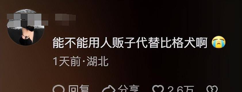 原创            笑爆了！98%的实验犬都是比格？为什么选择比格犬，听听业内人怎么说-实验犬比格犬