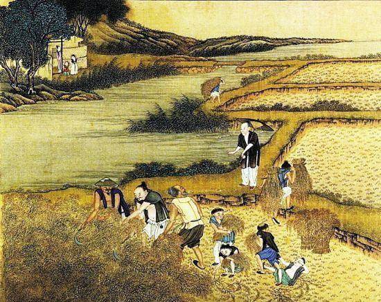 以汉唐时期为例,看传统中国的农业发展——农耕区的拓展