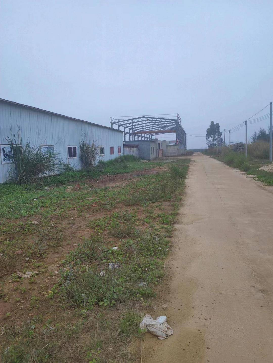 聚焦粤西:广东雷州企水码头100米防护堤遭严重毁坏