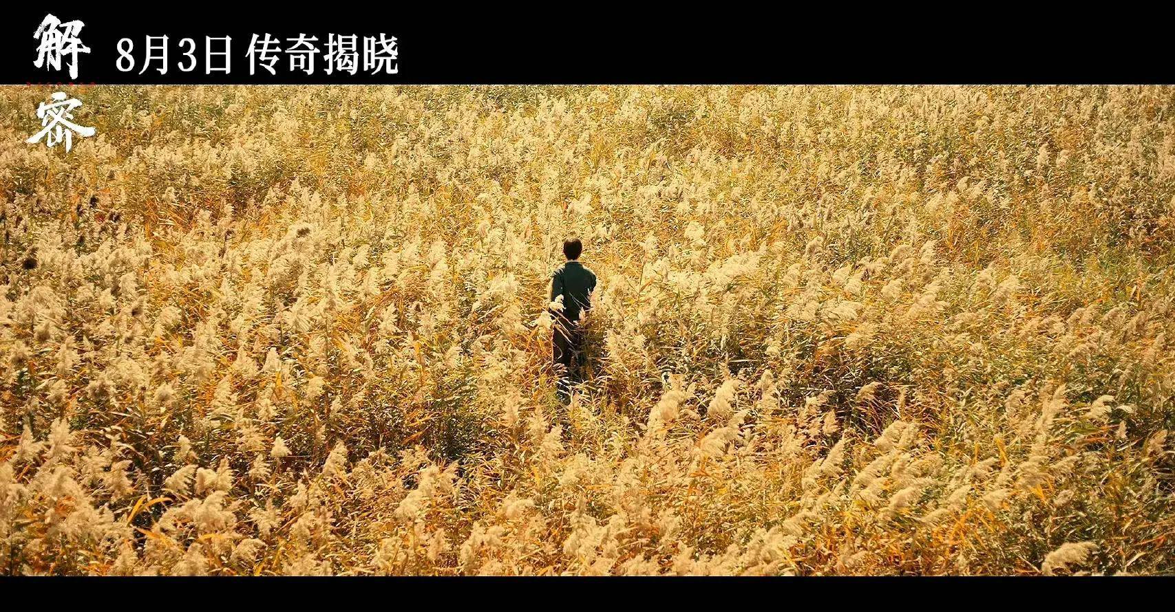 陈思诚新片《解密》暑期上映，票房潜力巨大，沈腾新作也难匹敌-陈思诚新片