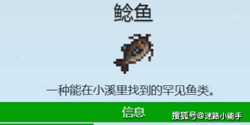 星露谷物语鲶鱼怎么钓