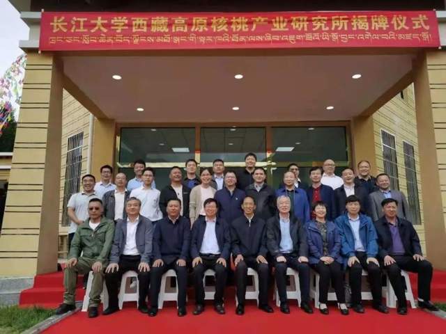 聚焦核桃种植,这个"系统"在雪域高原正式运行!