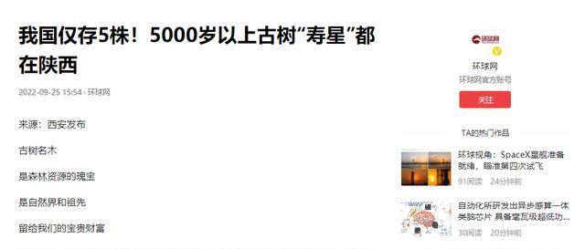 我国仅有的5株5000岁古树,全都长在陕西,有一棵还震动了联合国_黄陵
