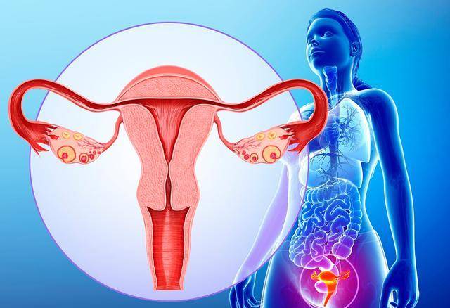 女性为何会出现"阴道痉挛"?需要治疗吗?