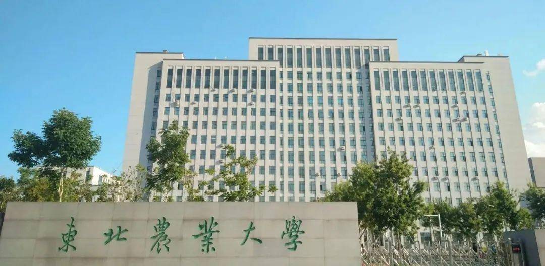 东北农业大学官网图片