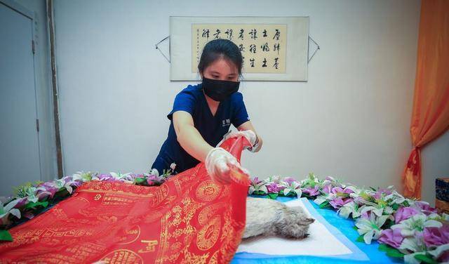 一起来了解一下吧_进行了_都会_遗体