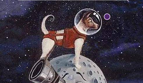 第一个进入太空的生物,其实是一条狗,它至今仍漂浮在地球轨道