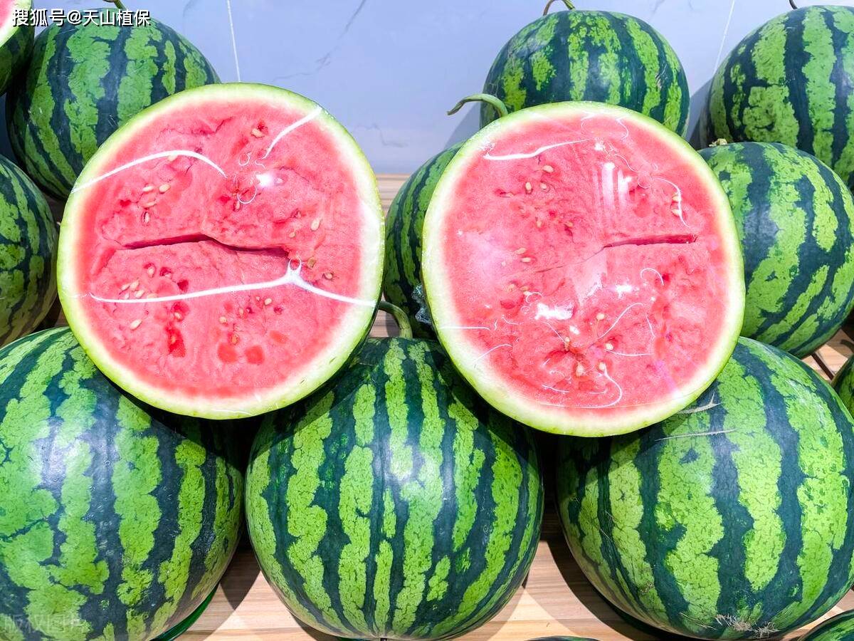 无籽西瓜怎么培育出来的