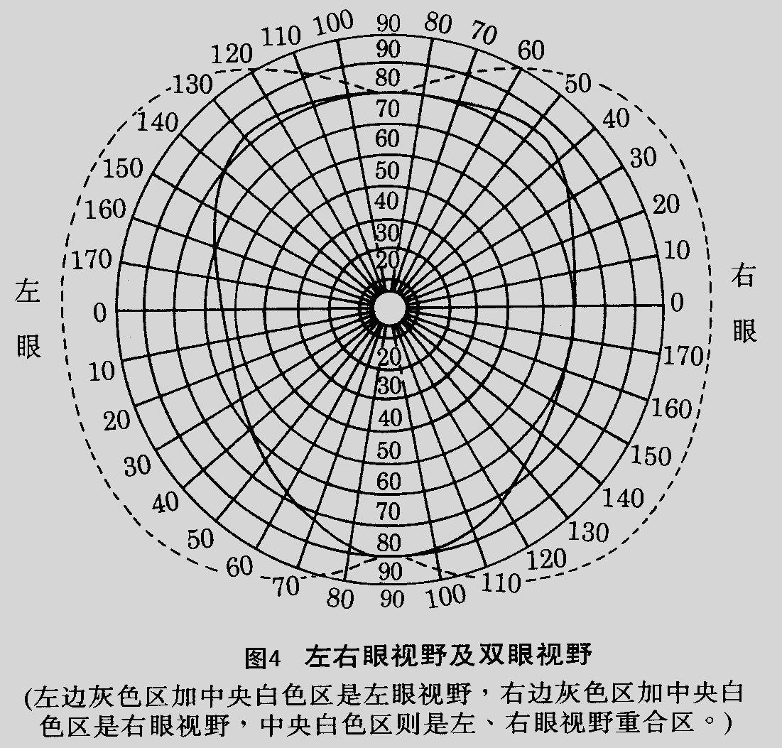 zl-036手台两用彩色视野计用于测定各种彩色和白色的视野范围