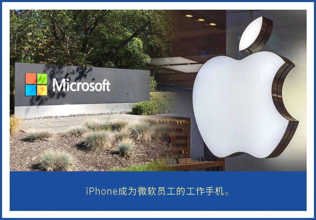 微软中国阔绰出手，员工免费领取iPhone 15？