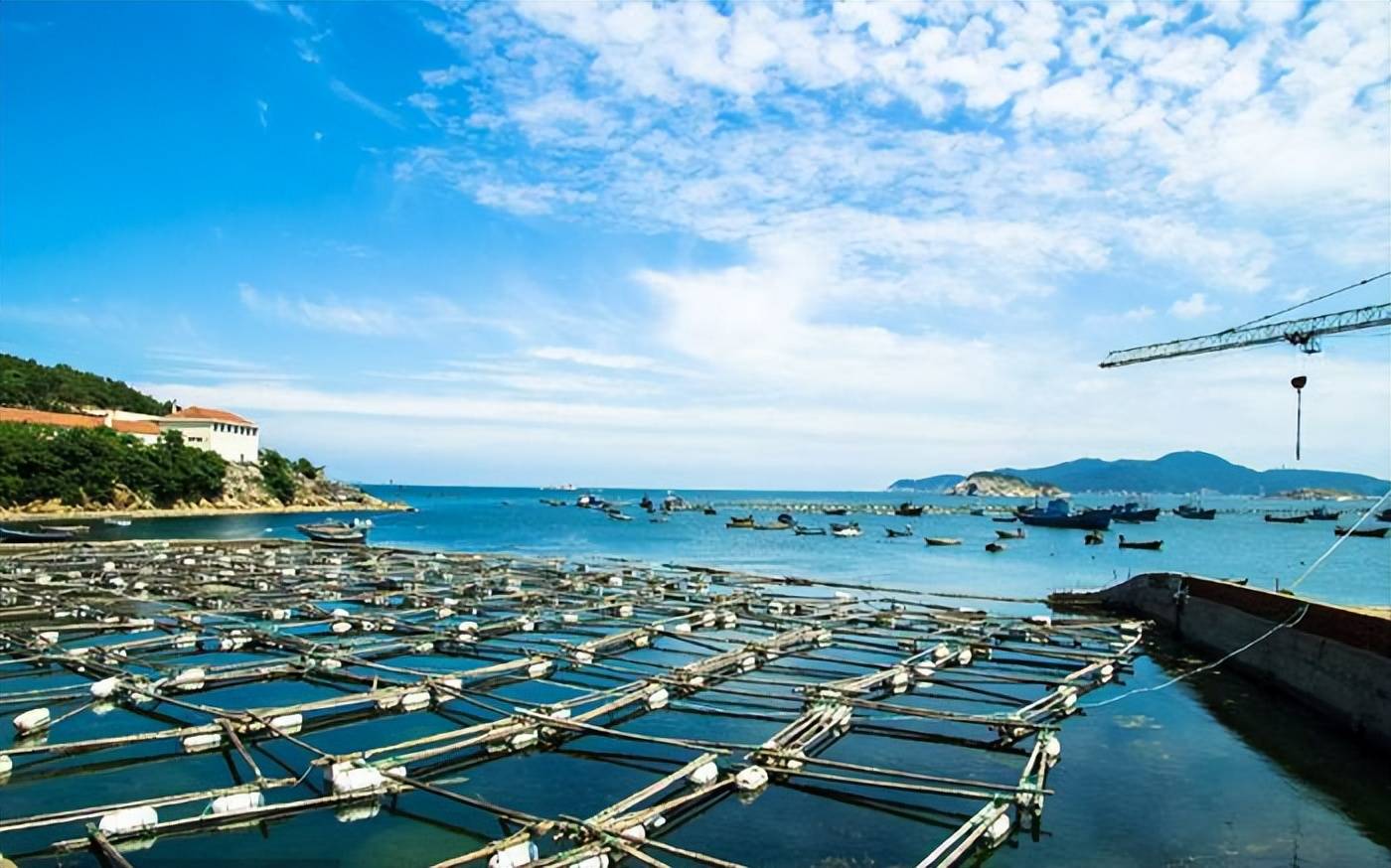 虾蟹养殖技术：一场水域里的绿色革命