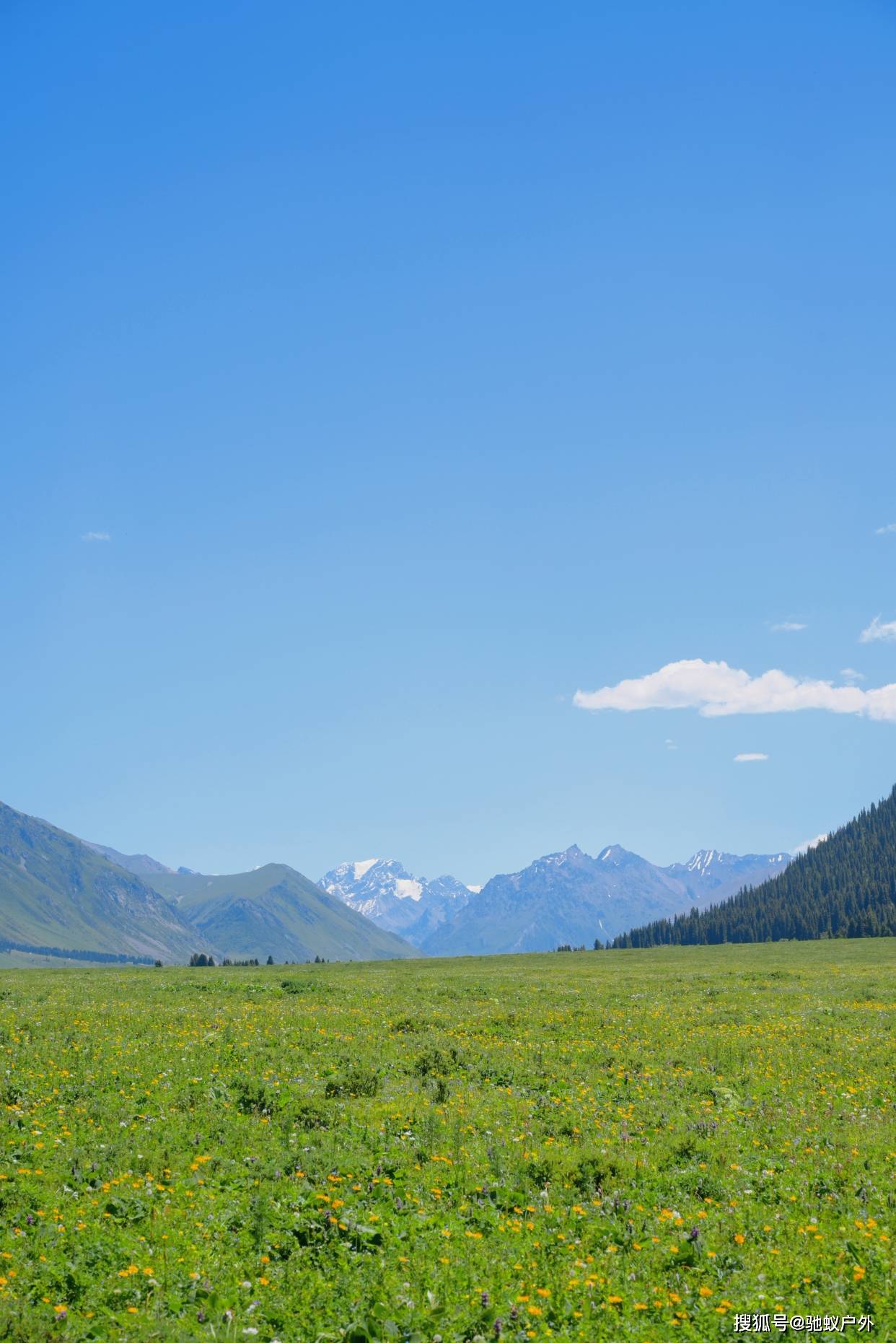 刚从新疆的独库公路回来,感觉被风景环绕!_大自然_夏天_草原