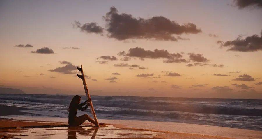 家电政策有弹性,格力小米暗战三翼鸟小天鹅九阳京东加速跑-家电圈官网