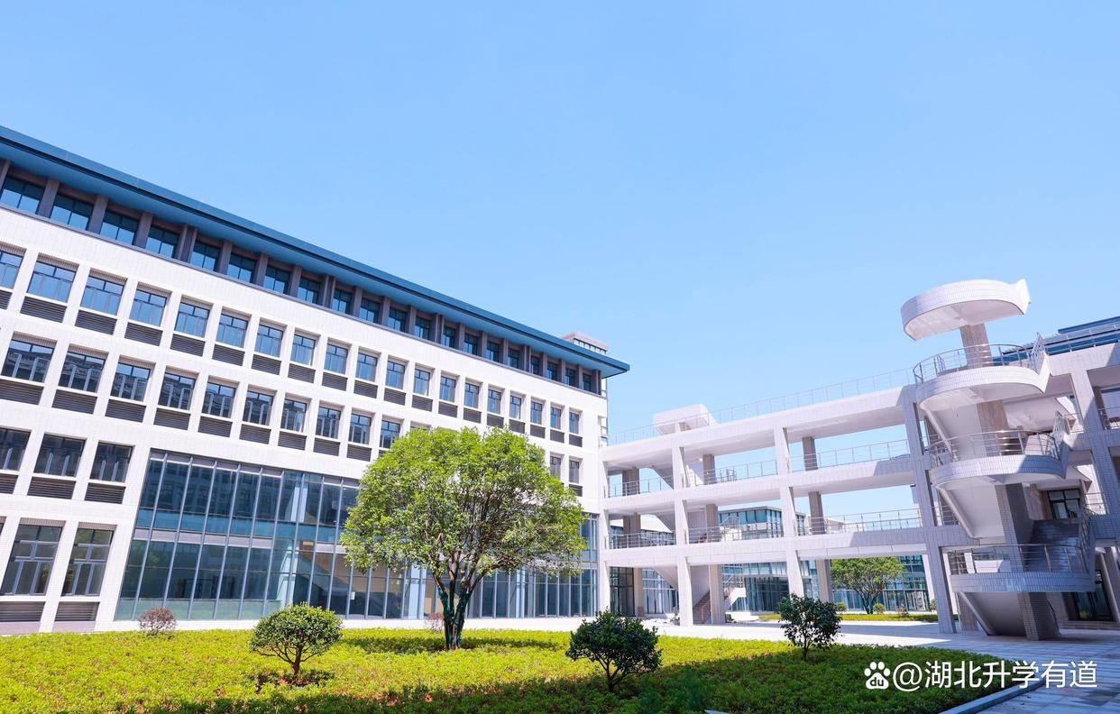 2024武汉东湖学院专本连读办学特色