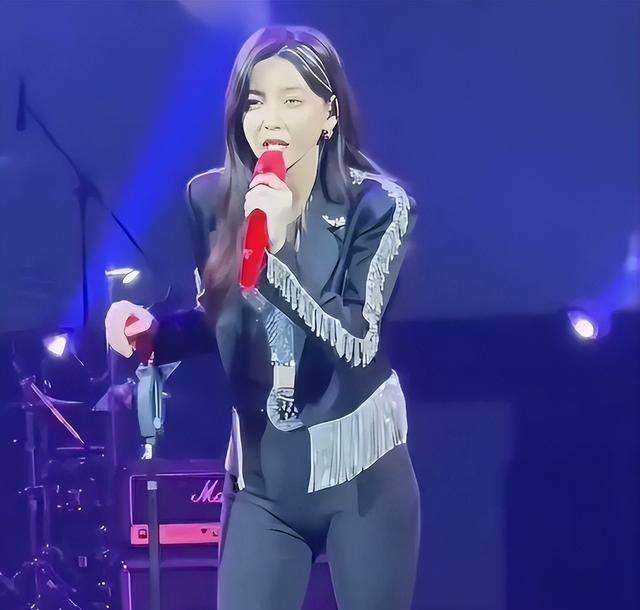 于文文演唱会紧身裤引热议,网友戏称"大户人家"的选择