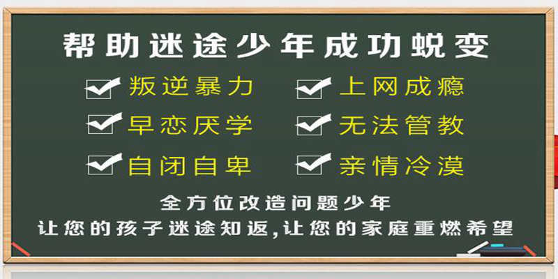 青少年教育面临的新挑战