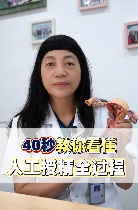 四十秒教你看懂,人工授精全过程