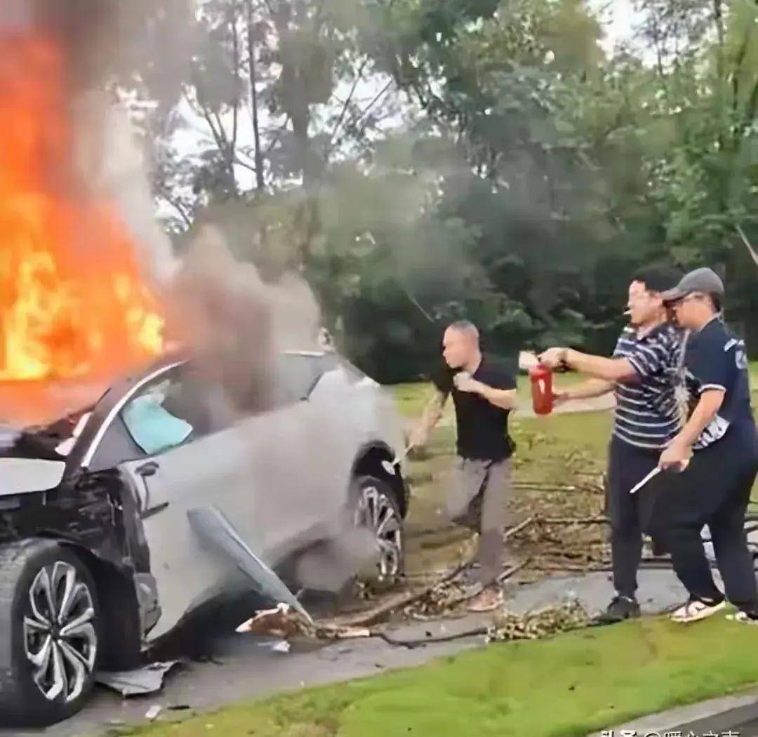 车祸被活活烧死图片