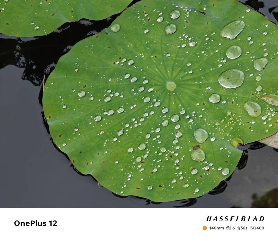 从小米13Ultra升级到一加12真实体验分享!