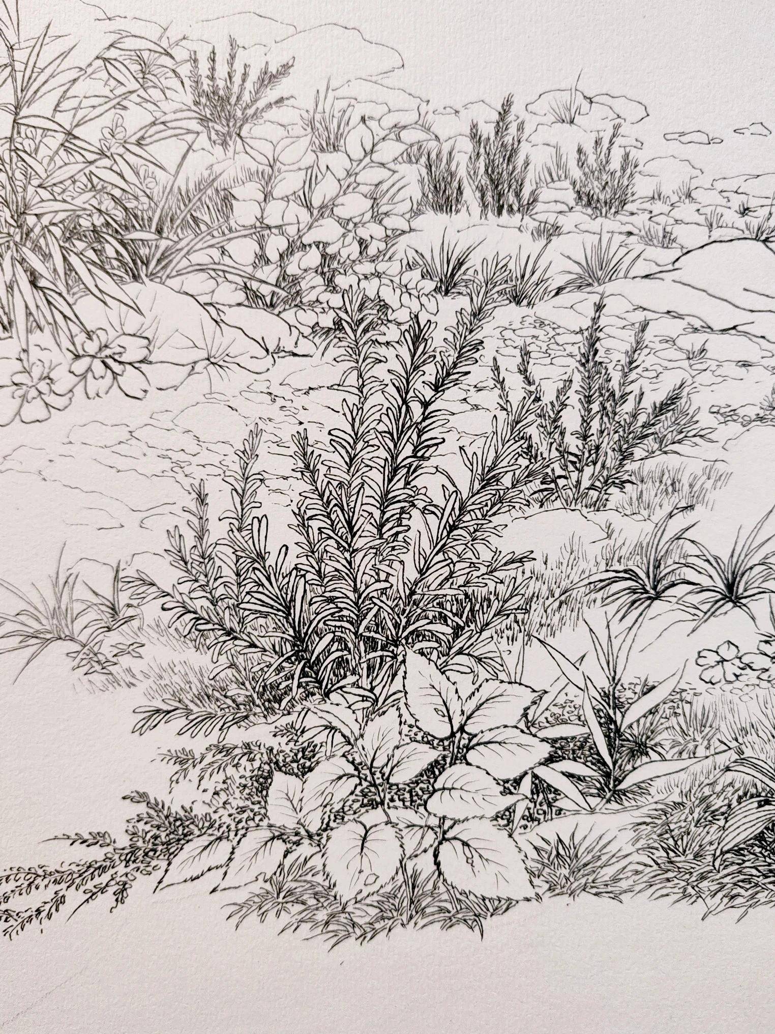 作品:女警类别:素描作者:清风类别:钢笔画作品:草丛作者:程维欢迎加入