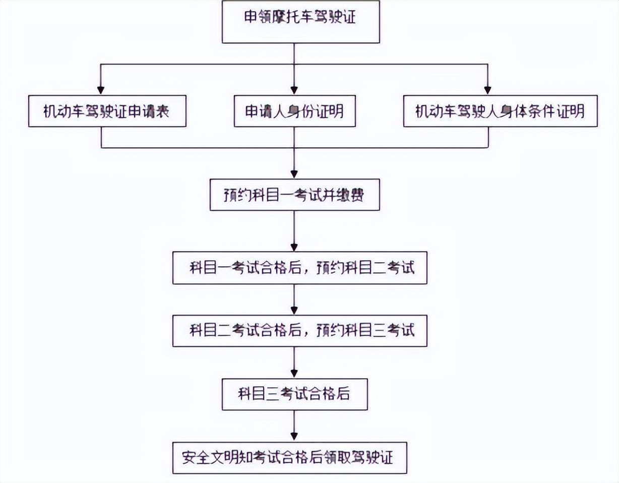 驾驶证设计图片