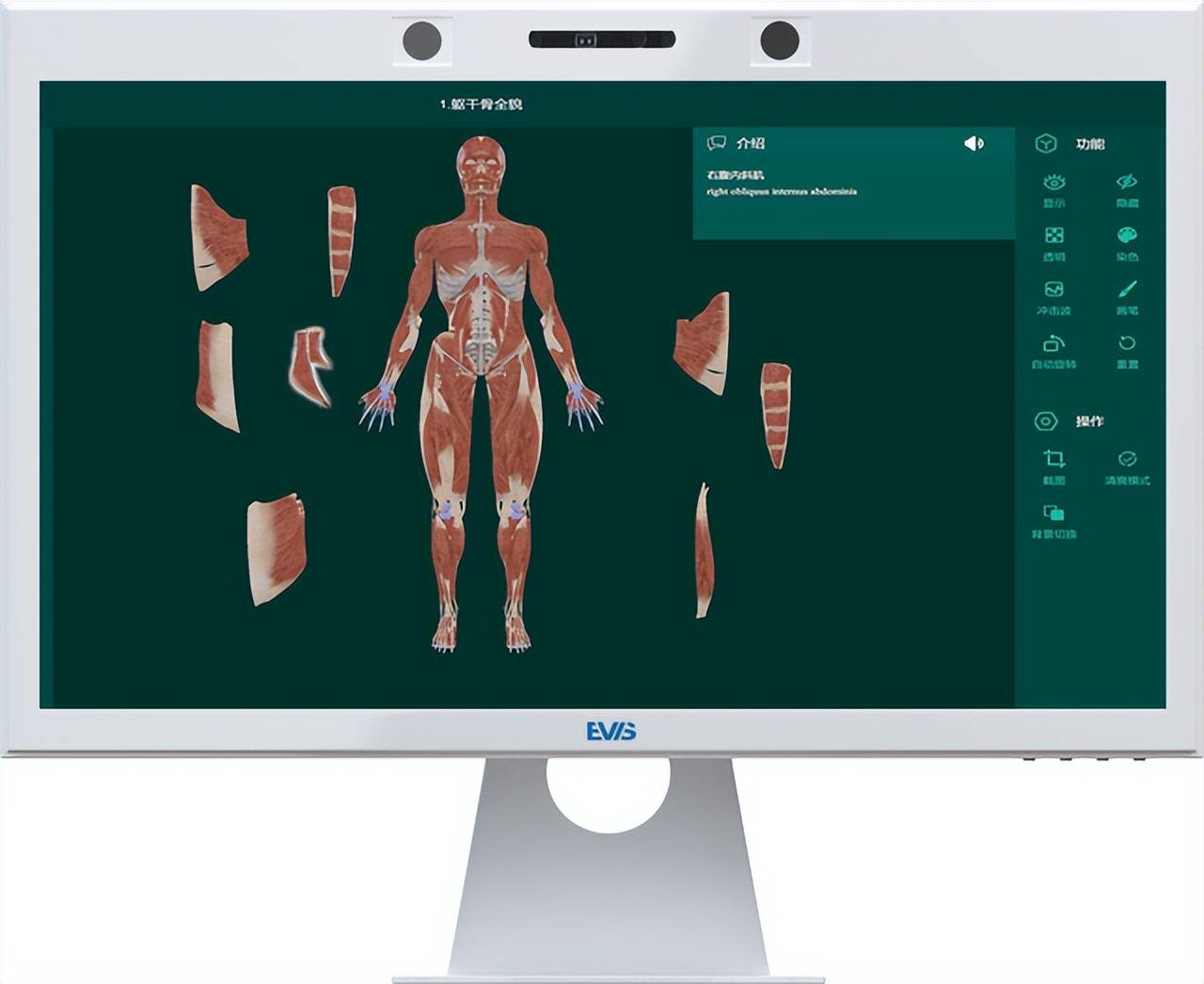 3d人体解剖学软件 沉浸式教学新方向