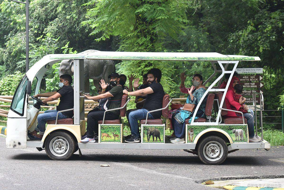 电动观光车为什么景区一定要有?