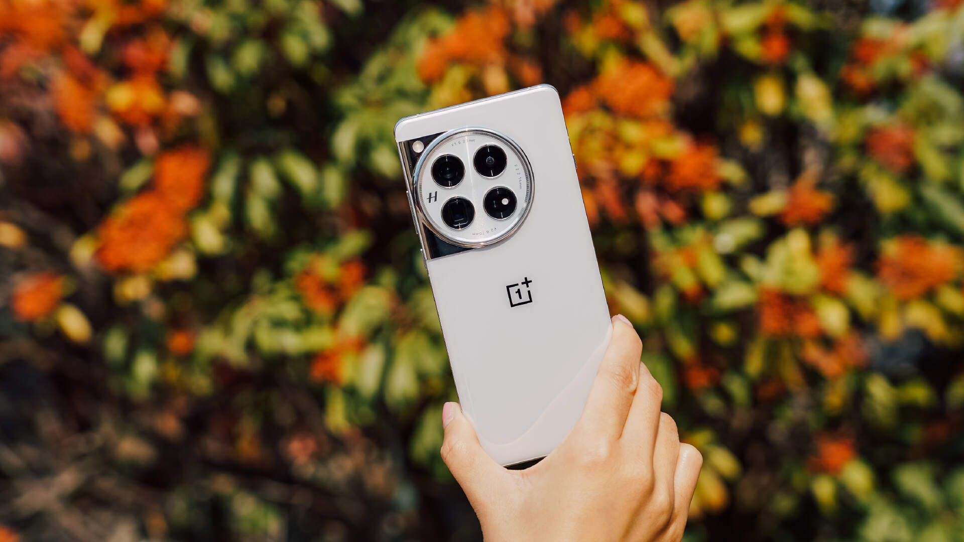 性能怪兽，影像拍摄能力大幅升级！一加12深度体验